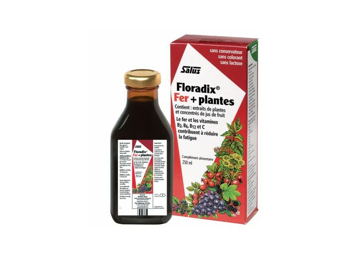 Salus Floradix Elixir de fer 400 + 100 ml Gratuit