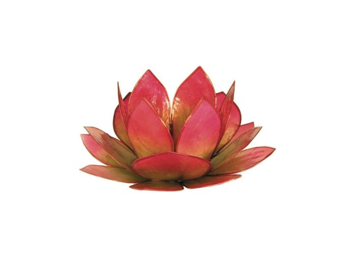 Claraline : Photophore lotus - coloris vert et rose