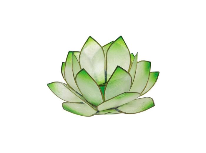 Claraline : Photophore lotus - coloris vert lime