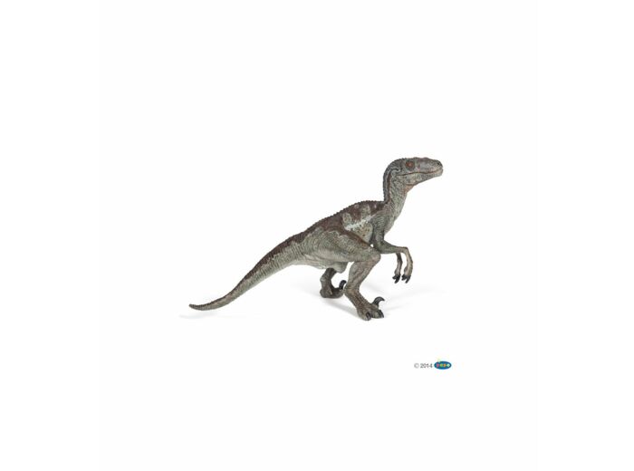 Papo - Velociraptor - 55023