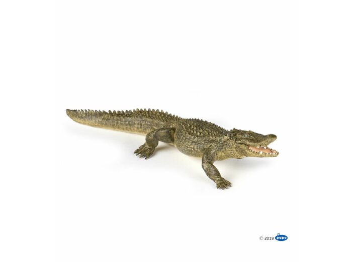 Papo - Alligator - 50254