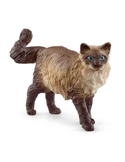 SCHLEICH - Chat Ragdoll - 13940