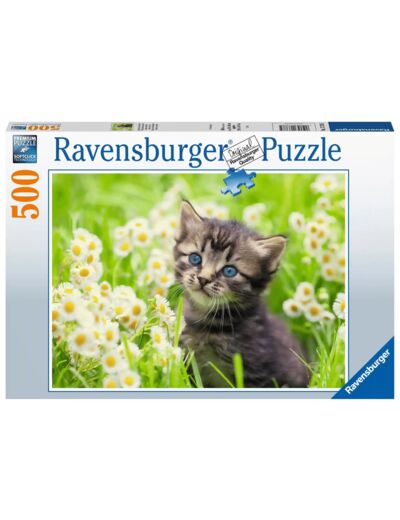 Puzzel 500 stukjes - kittens in de wei