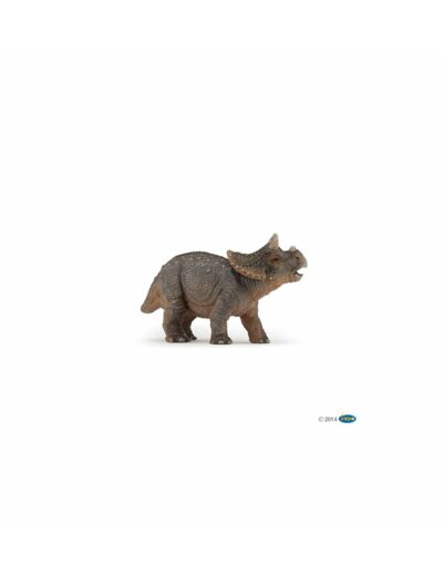 Papo - Jonge triceratops - 55036