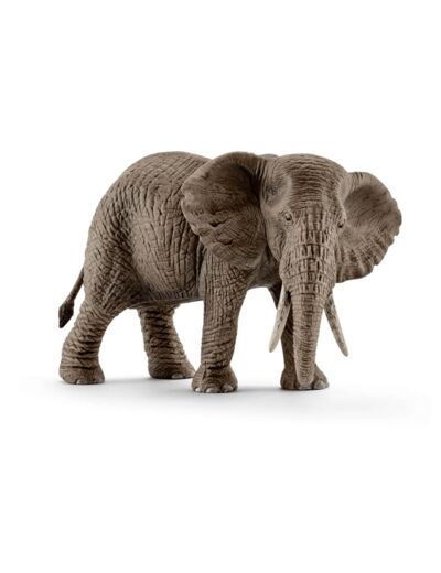 Schleich - Elephant d'Afrique femelle - 14761