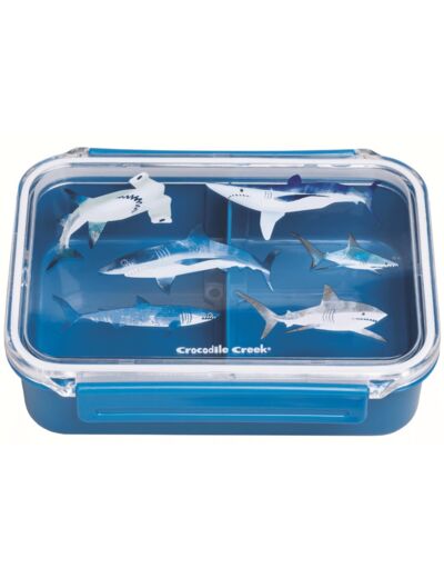 Bento Box - Requins