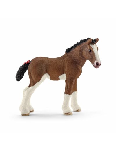 Clydesdale veulen