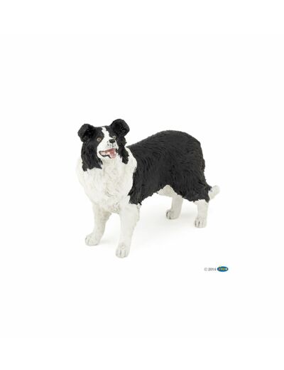 Papo - Border collie - 54008