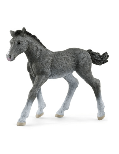 Schleich - Poulain Trakehnen - 13944