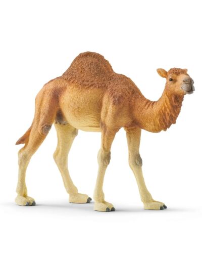 Schleich - Dromadaire - 14832