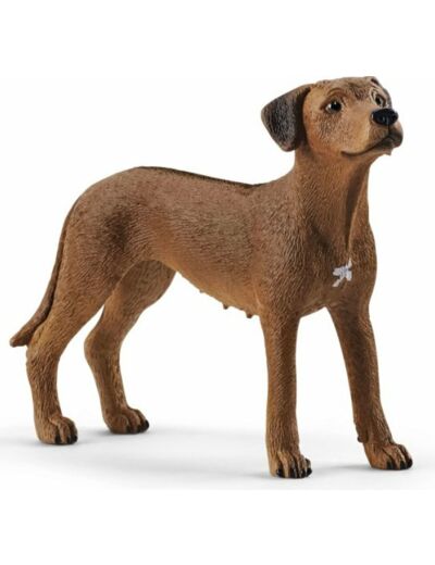 Rhodesische ridgeback