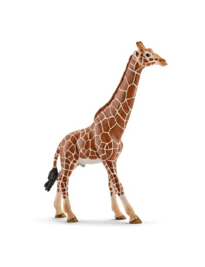 Schleich - Girafe Mâle - 14749