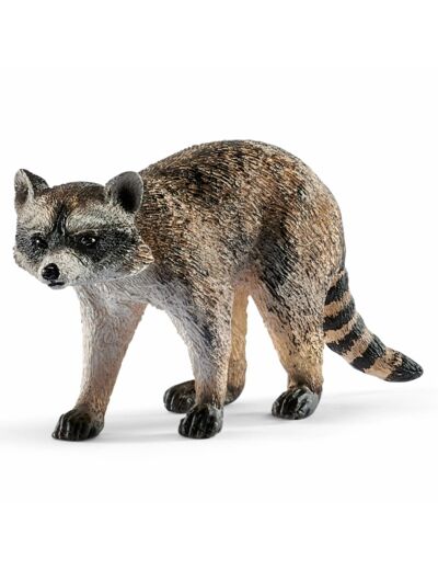 Schleich - Raton laveur - 14828