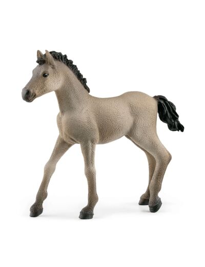 SCHLEICH - Poulain Criollo Definitivo - 13949