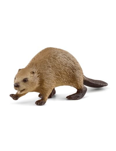 Schleich - Castor - 14855