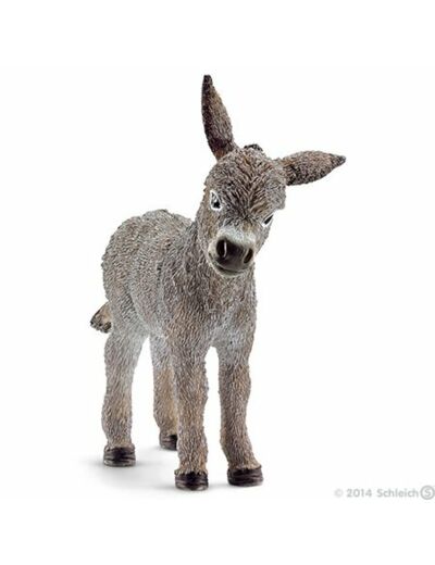 Schleich - Ânon - 13746