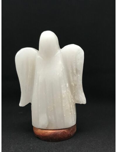 Claraline : Lampe de Sel Himalaya blanche forme d'Ange pied en bois originel