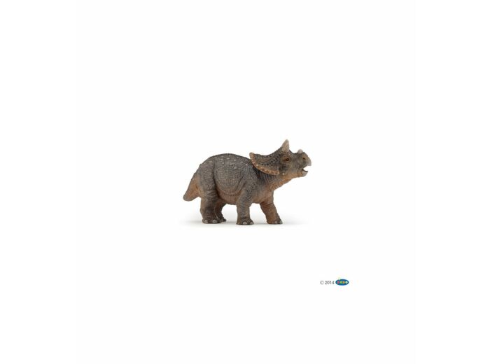 Papo - Jonge triceratops - 55036