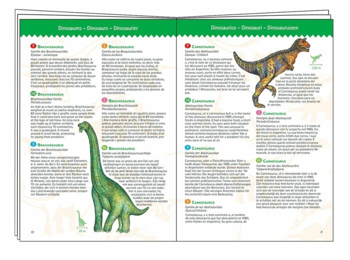 Dinosaurs + booklet - 100 pcs