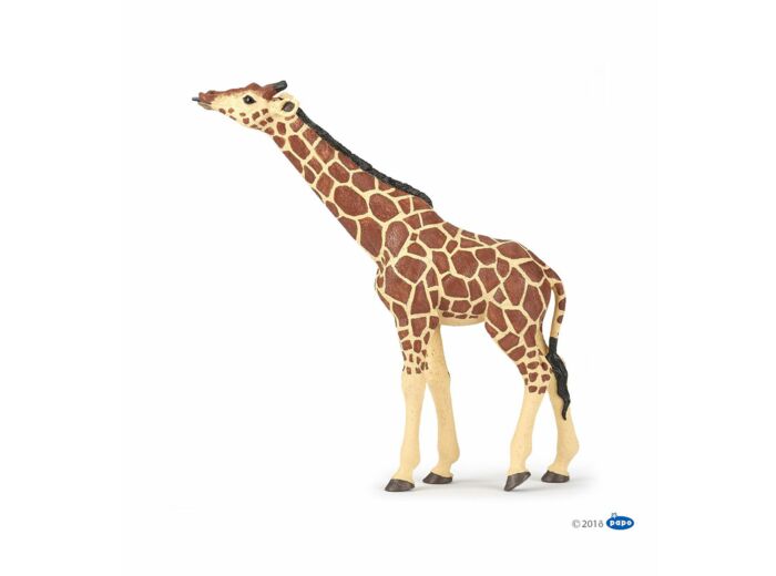 Papo - Girafe tête levée - 50236