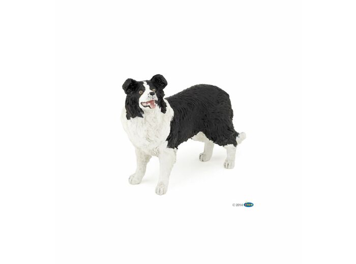 Papo - Border collie - 54008