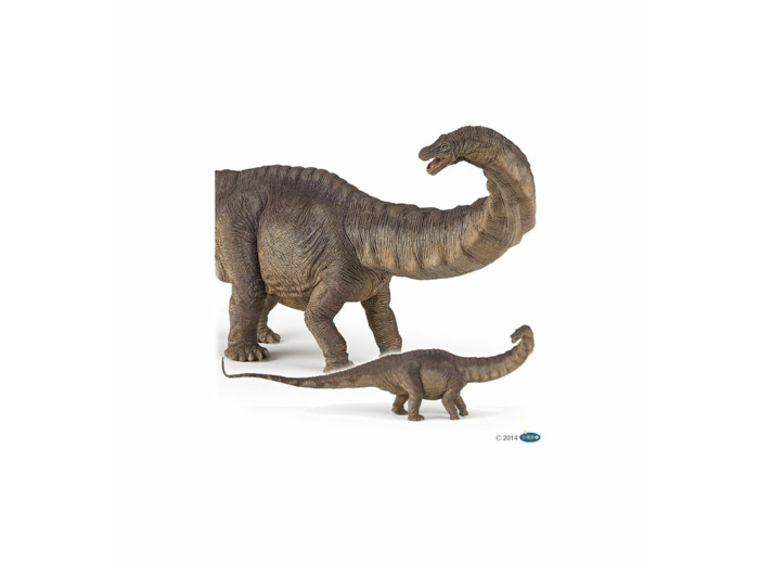 Papo - Apatosaurus - 55039