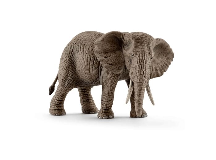 Schleich - Elephant d'Afrique femelle - 14761