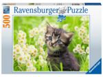 Puzzel 500 stukjes - kittens in de wei