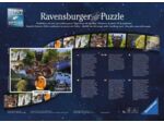 Puzzle Ravensburger - Jurassic Park - 1000 Pcs - 171477