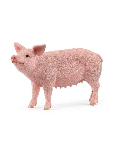 SCHLEICH - Cochon - 13933