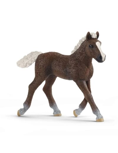 Schleich - Poulain Forêt Noire - 13899