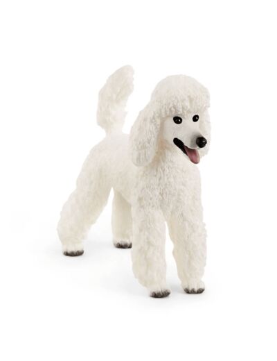 Schleich - Caniche - 13917