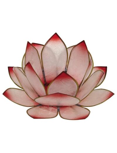Claraline : Photophore lotus - coloris rose