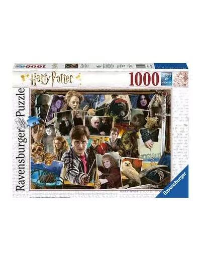 Puzzle - Harry Potter contre Voldemort