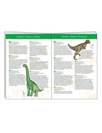 Dinosaurs + booklet - 100 pcs