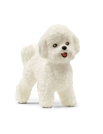 Bichon frisé Schleich