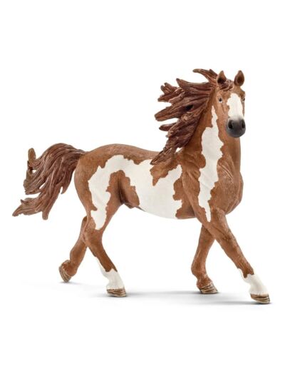 Schleich - Etalon Pinto - 13794