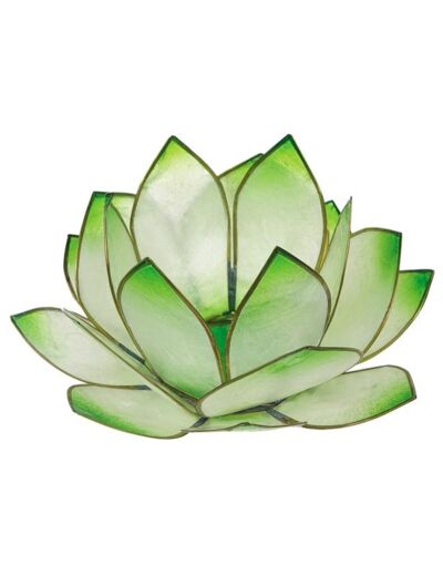Claraline : Photophore lotus - coloris vert lime