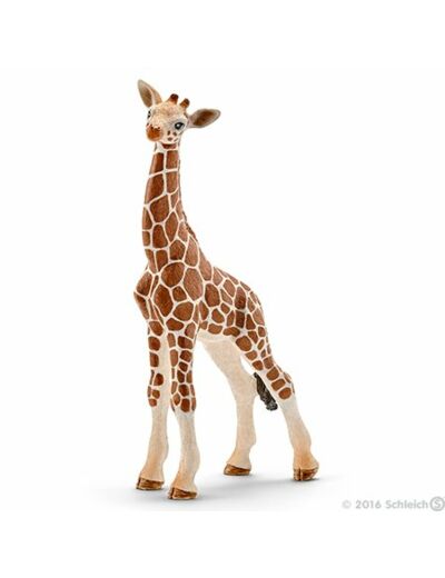 Schleich - Bébé girafe - 14751