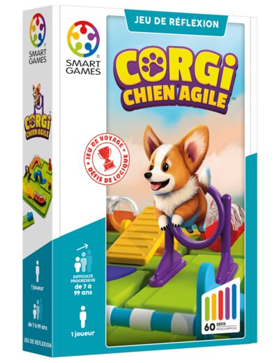 Corgi , chien agile