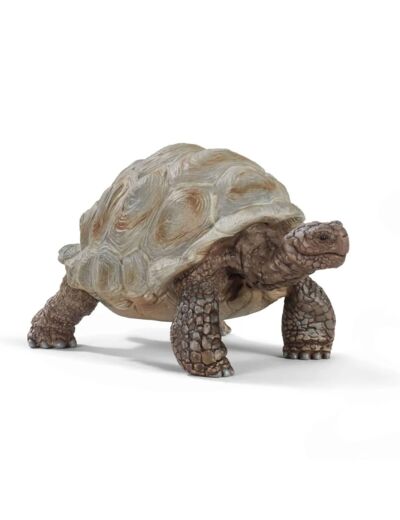 Schleich - Tortue Géante - 14824