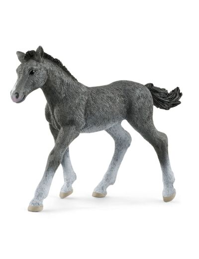 Schleich - Poulain Trakehnen - 13944