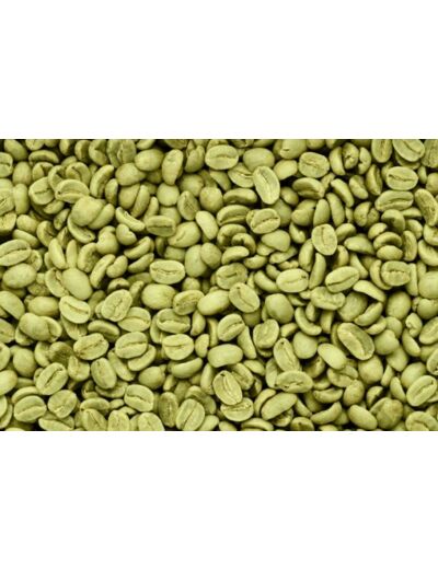 Jade Recherche : Café vert en grains 1 kilo