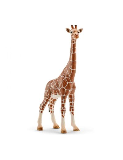 Schleich - Girafe Femelle - 14750