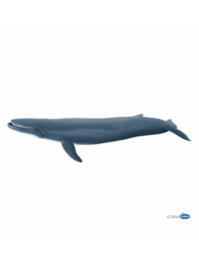 Papo - Baleine bleue - 56037