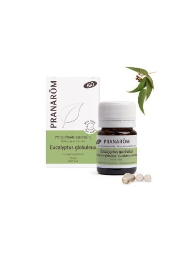 Pranarom-Perles Eucalyptus globuleux Bio 60 p